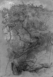 Study Of Tree Hit By Lightning, In A Forest — Paul Huet