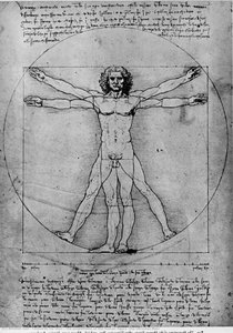 The Proportions Of The Human Figure (the Vitruvian Man) — Leonardo Da Vinci