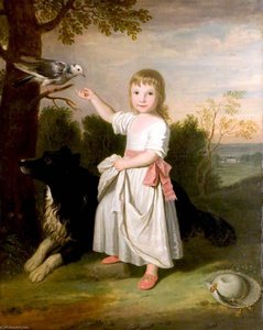 James Abercromby Of Tullibody, Esq — David Allan