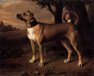 Ulmer Dogge — Johann Christof Merck