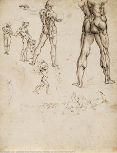 Nudi, Per La — Leonardo Da Vinci