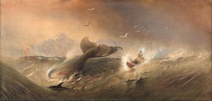 Amateur Whaling, Or A Tale Of The Pacific — Oswald Walters Brierly