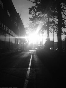 At Sunset — Alfred Freddy Krupa