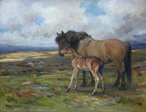 Moorland Mother — John Murray Thomson