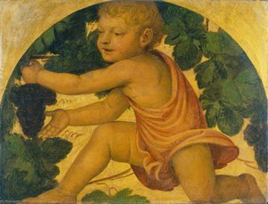 Putto Pflückt Weintrauben — Bernardino Luini