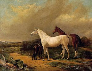Horses In Stoke Park, Suffolk — John Duvall
