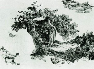 Group Of Deciduous Trees And Stones — Ivan Ivanovich Shishkin