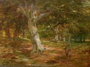 Forest Scene With Deer — James Walsham Baldock