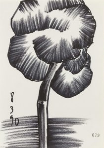 Untitled, From Series — Ângelo César Cardoso De Sousa