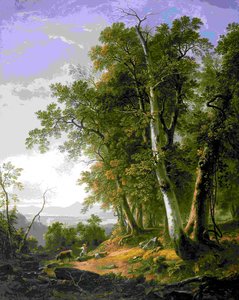 Landscape, Composition, Forenoon — Ашер Браун Дюранд