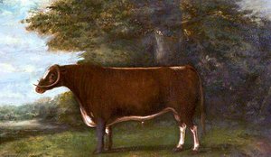 'garrick', Son Of 'shakespear' And 'broken Horned Beauty' — John Boultbee
