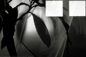 Untitled, — Carlos Cánovas Ciáurriz
