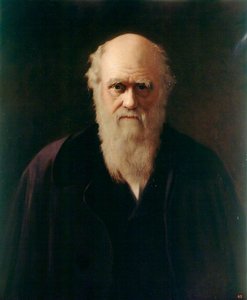 Charles Darwin (1809–1882) (after John Collier) — John Lewis Reilly