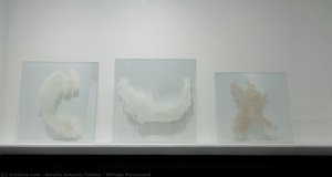 Whisps Movement — Amelia Amorim Toledo