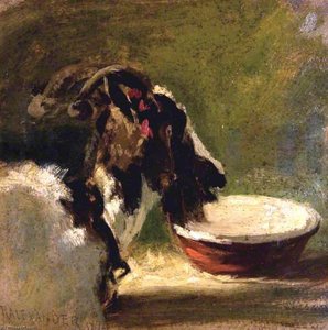 Head Of A Goat — Robert L Alexander