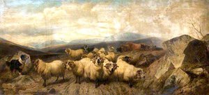Highland Cattle — Richard Ansdell