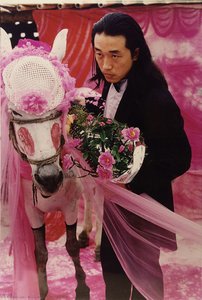 To Marry A Mule — Wang Jing