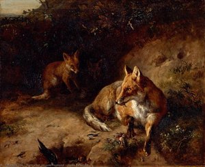 Etude De Renard — Jacques Raymond Brascassat