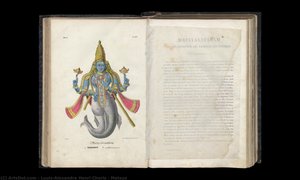 Matsya — Louis-alexandre Henri Choris