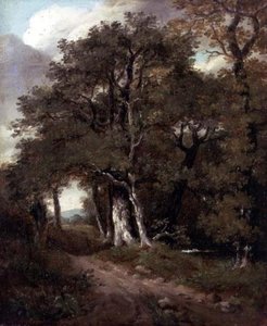 Ein Waldweg — John Constable