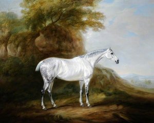 A Grey Hunter — John Ferneley, Snr