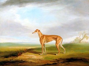 Greyhound — William Henry Davis