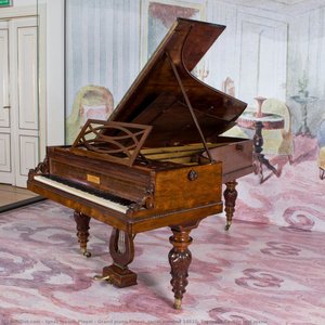 Grand Piano Pleyel, Serial Number 14810, Fryderyk Chopin Last Piano — Ignaz Joseph Pleyel