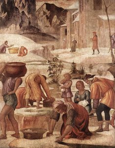 Die Sammlung Des Manna — Bernardino Luini