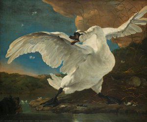 The Threatened Swan — Йан Аселйн
