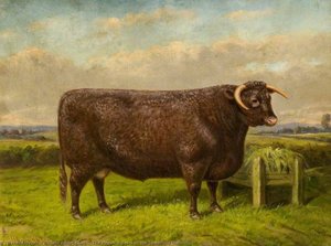 The Heaviest Beast Of The Smithfield Show — William Albert Clark