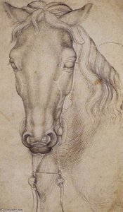 Study Of The Head Of A Horse. Pen. 276 X 197 Mm. Louvre Museum, Paris — Pisanello