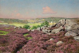 Heather Clad Cliffs With Sheep — Johan Krouthén