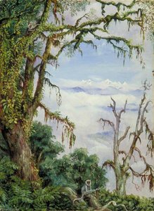 Panch Choola From Binsur, With Oak Trees And Grey Apes In The Foreground — Marianne North
