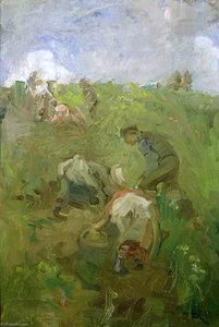 Fieldworkers — Robert Brough