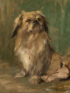 Mr Wu – A Pekingese — Robert L Alexander