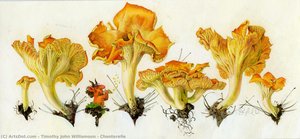 Chanterelle — Timothy John Williamson