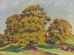 Elms In The Sunshine — Gladys Vasey