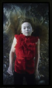 Madison — Bill Viola