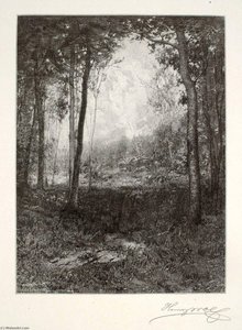 In The Adirondacks — Henry Wolf