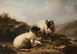 Sheep — Ežėn Josė Just Verbokhovenas