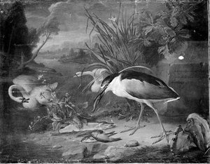 Oiseau Pecheur, Cygnes Et Poissons — Rysbrack Geerard