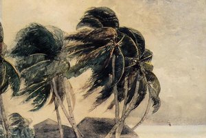 Ein Nordwind - Key West — Winslow Homer