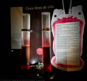 5 Litres Of Life — Parque De Las Ciencias De Granada