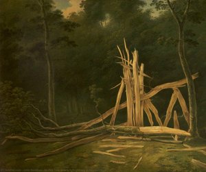 An Oak Tree Struck By Lightning In Dunham Park — John Boultbee