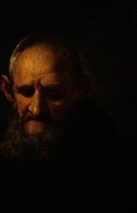 Head Of A Capuchin — Richard Wilson