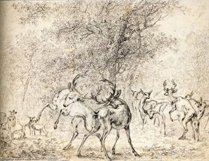Cerfs Dans Les Bois — Paulus Potter