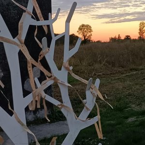 Tree Of Climate Ribbon — Francesco Simoni