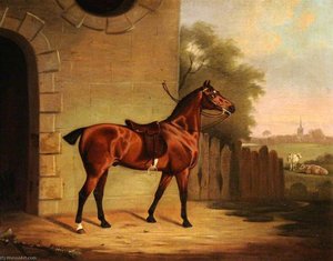 A Saddled Bay Hunter Outside A Stable Entrance — Clifton Tomson