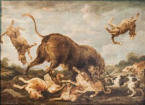 Buffalo Attacked By Dogs — Paul De Vos
