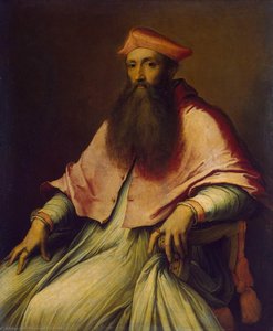 Ritratto Del Cardinale Reginald Pole — Sebastiano Del Piombo